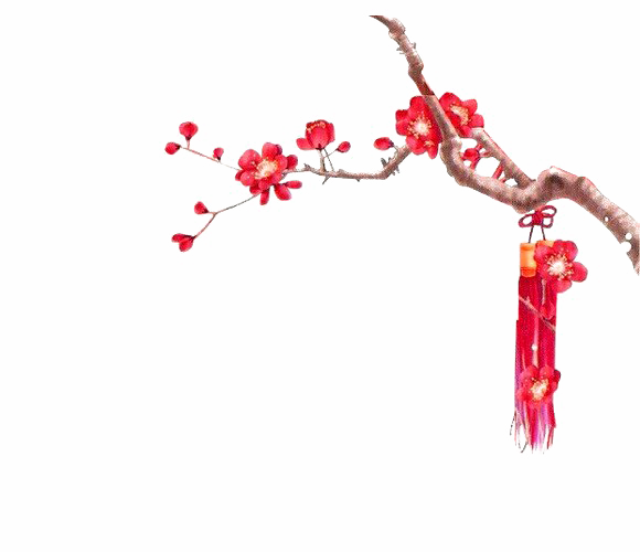 Download PNG image - Chinese Flower PNG Transparent Picture 