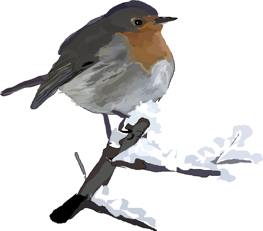 Download PNG image - Christmas Bird Transparent PNG 