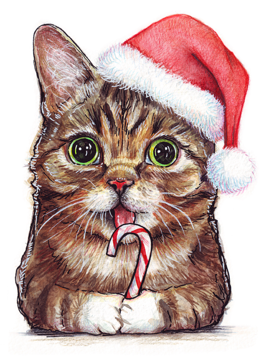 Download PNG image - Christmas Kitten PNG Clipart 