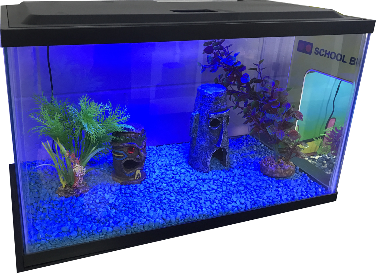 Download PNG image - Fish Tank Blue Light Transparent PNG 