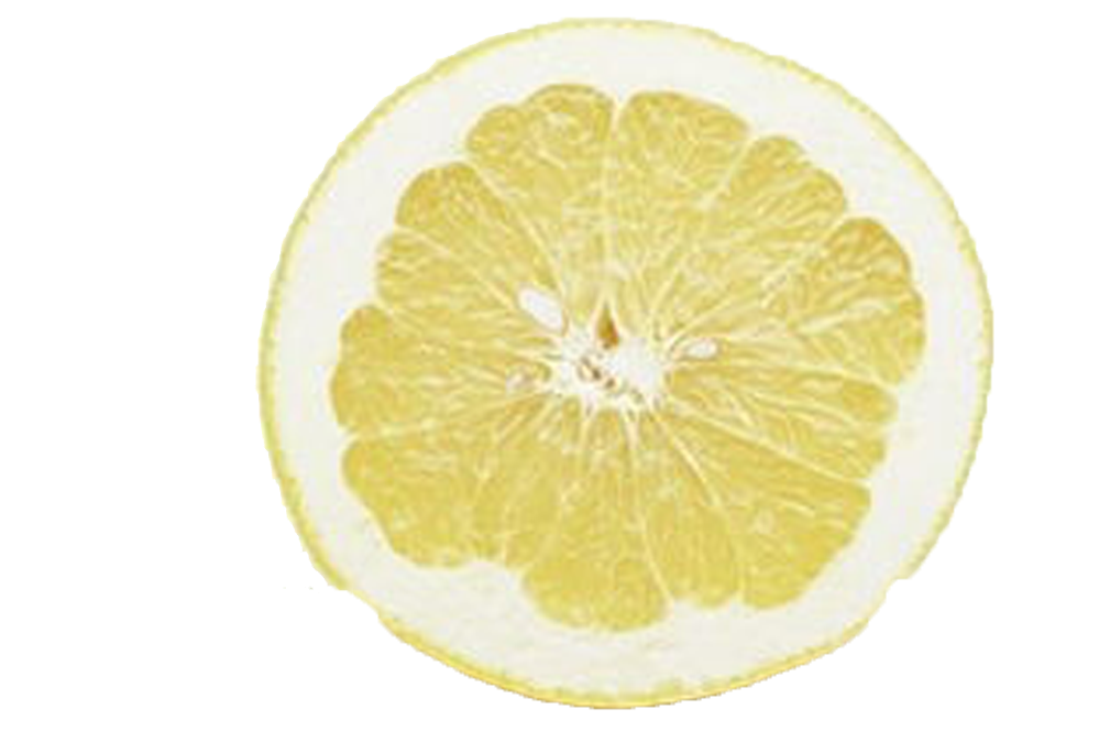 Download PNG image - Half Lemon PNG HD 