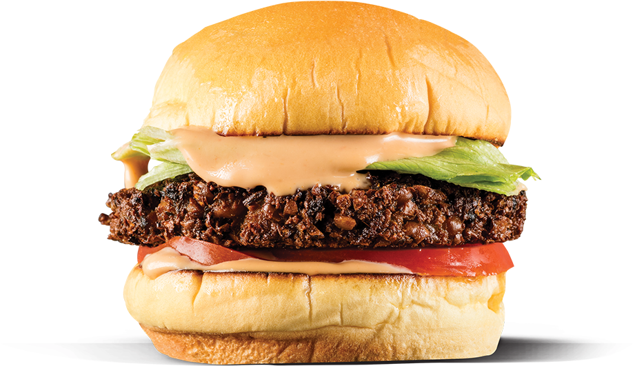 Download PNG image - Non-Veg Burger King PNG Photos 