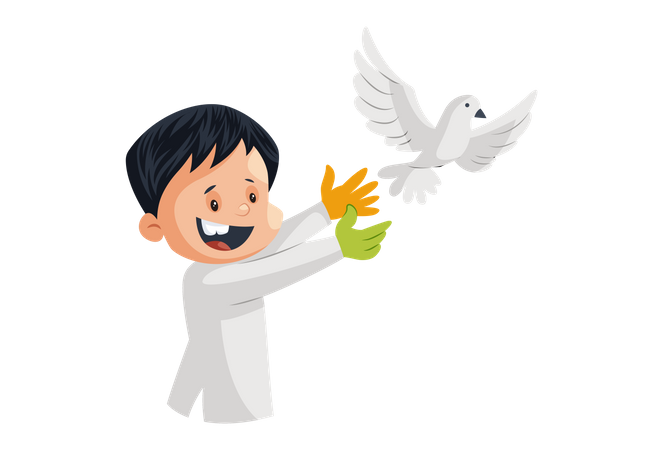 Download PNG image - Peace White Pigeon Transparent PNG 