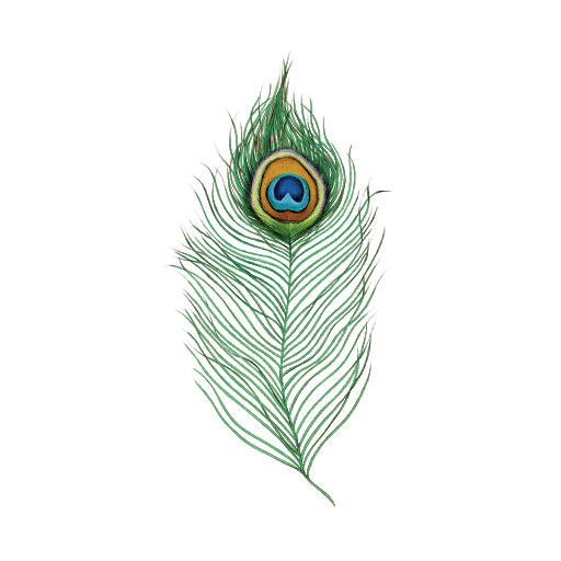 Download PNG image - Peacock Feather PNG Background Image 