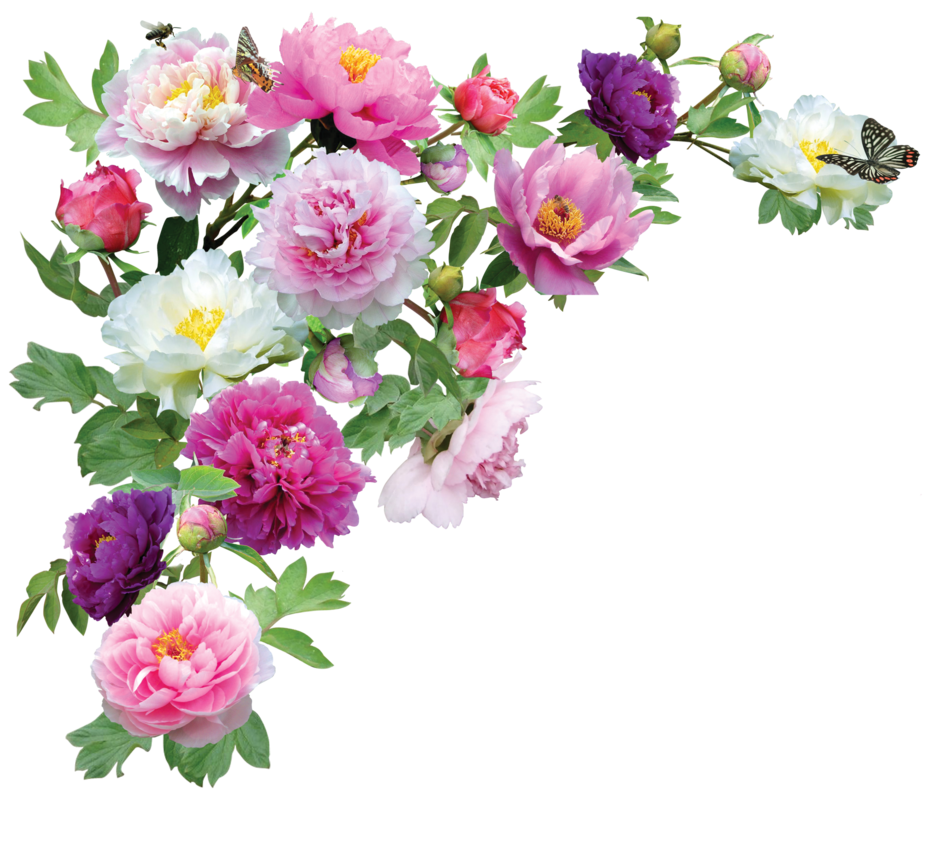 Download PNG image - Spring Blossom Flower PNG File 