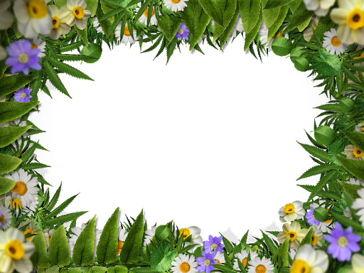 Download PNG image - Square Flower Border Frame Transparent PNG 