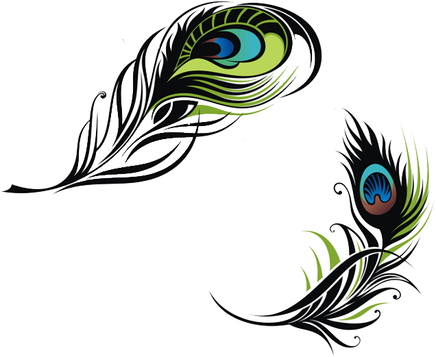 Download PNG image - Vector Peacock Feather PNG Clipart 