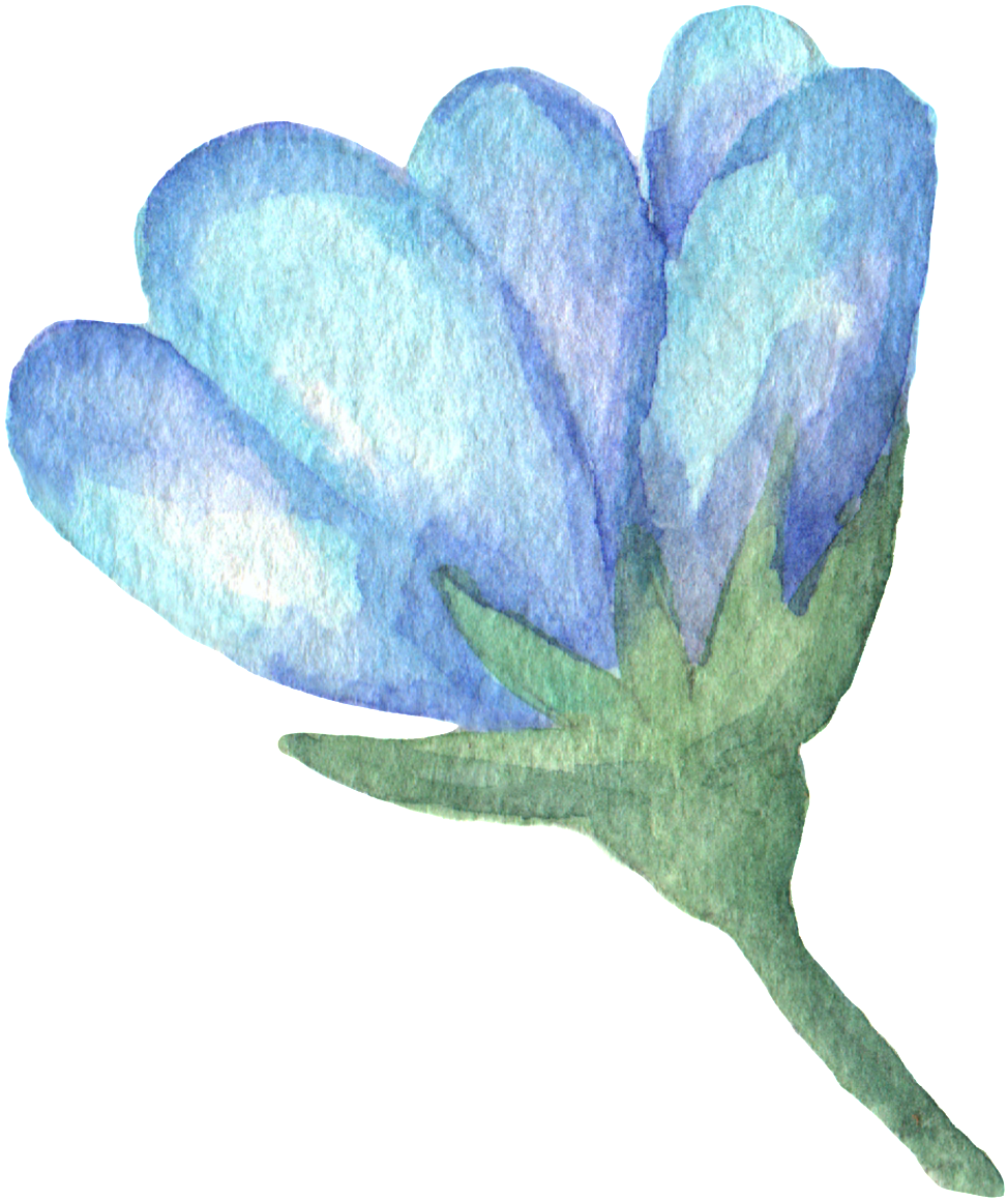 Download PNG image - Watercolor Clover PNG HD 