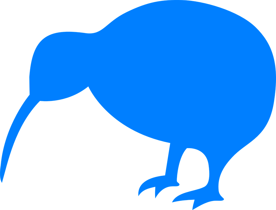 Download PNG image - Wild Kiwi Bird PNG File 