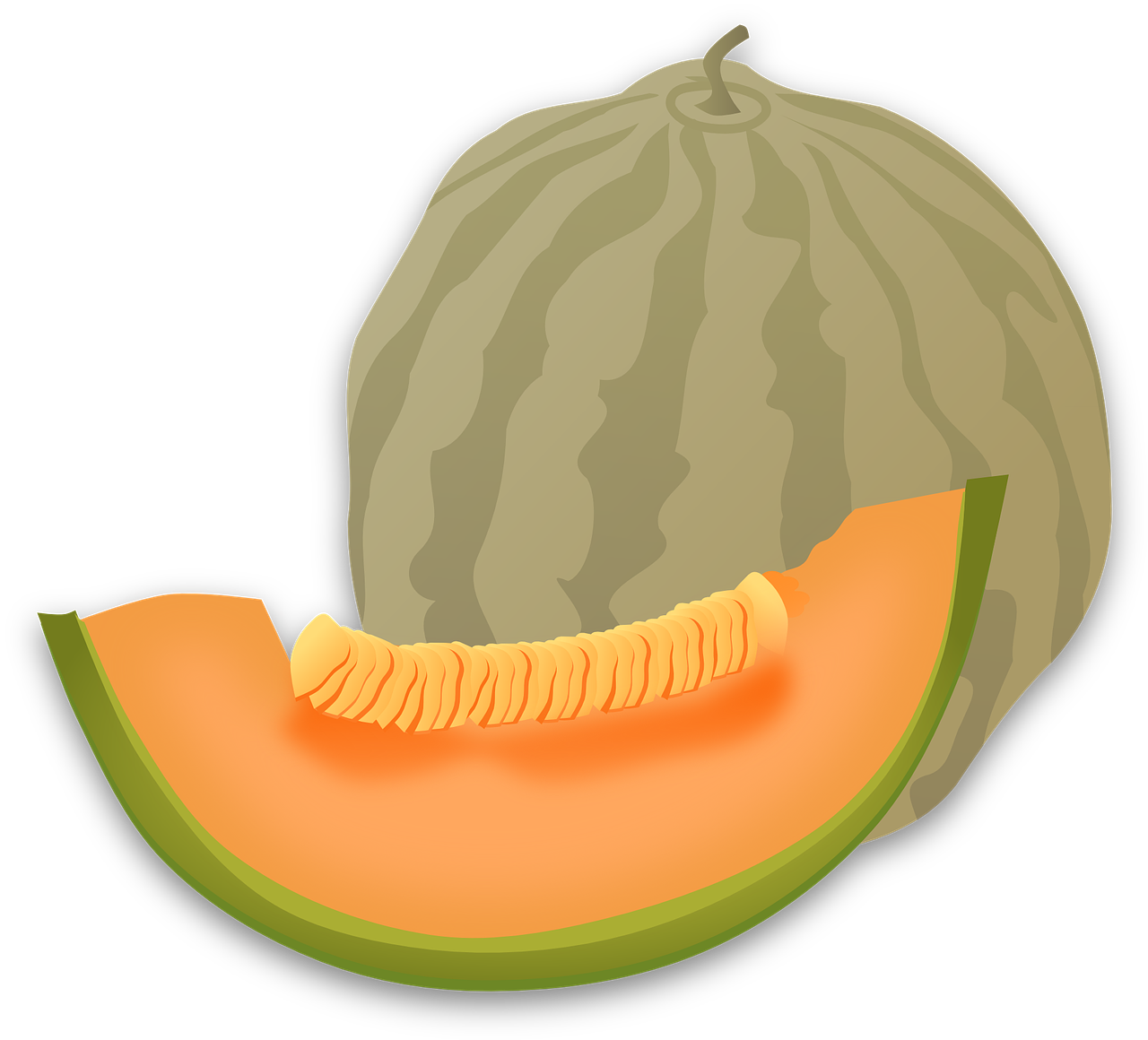 Download PNG image - Cantaloupe Slices PNG Clipart 