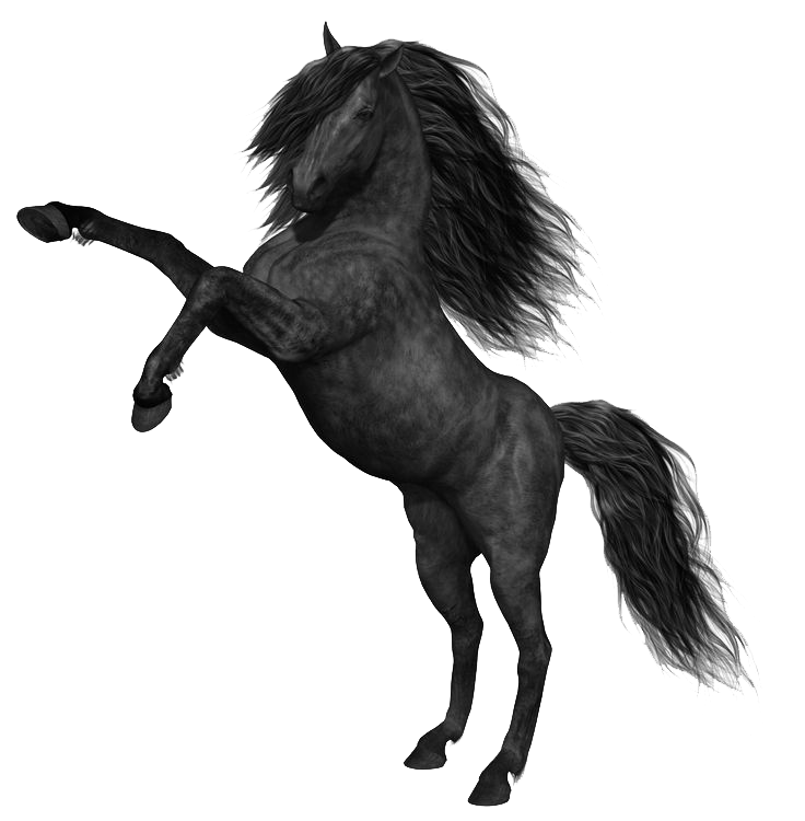 Download PNG image - Mustang Horse PNG Photos 