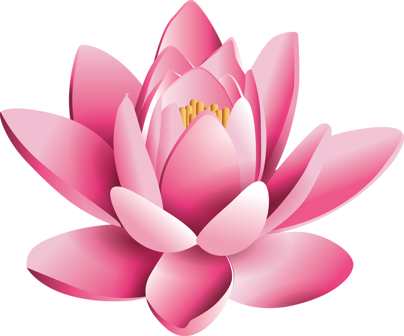 Download PNG image - Pink Lotus Flower PNG Pic 