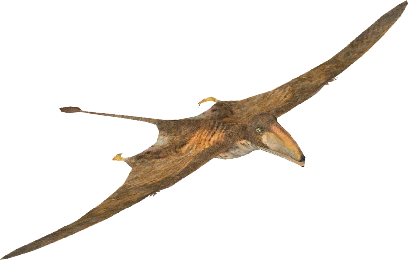 Download PNG image - Pterosaurs PNG Picture 