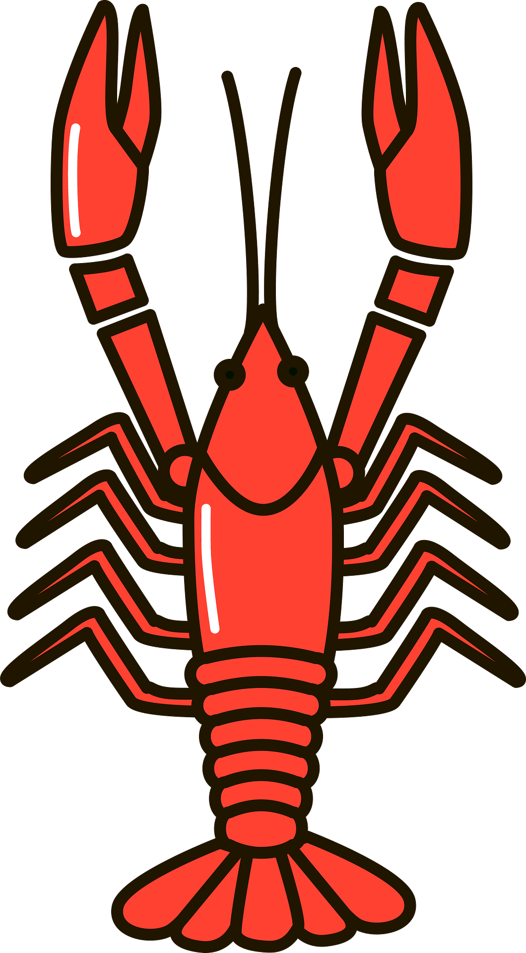 Download PNG image - Red Crawfish PNG Isolated Pic 