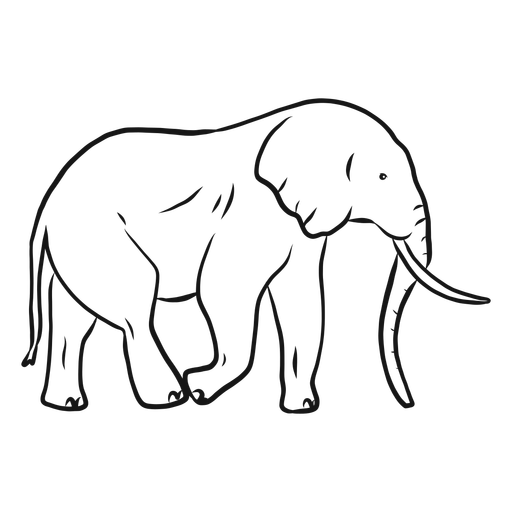 Download PNG image - Vector Elephant PNG Picture 