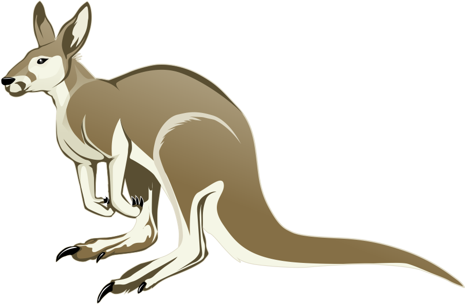 Download PNG image - Vector Kangaroo PNG Image 