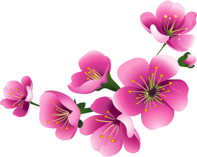 Download PNG image - Blossom Flower Clipart PNG 