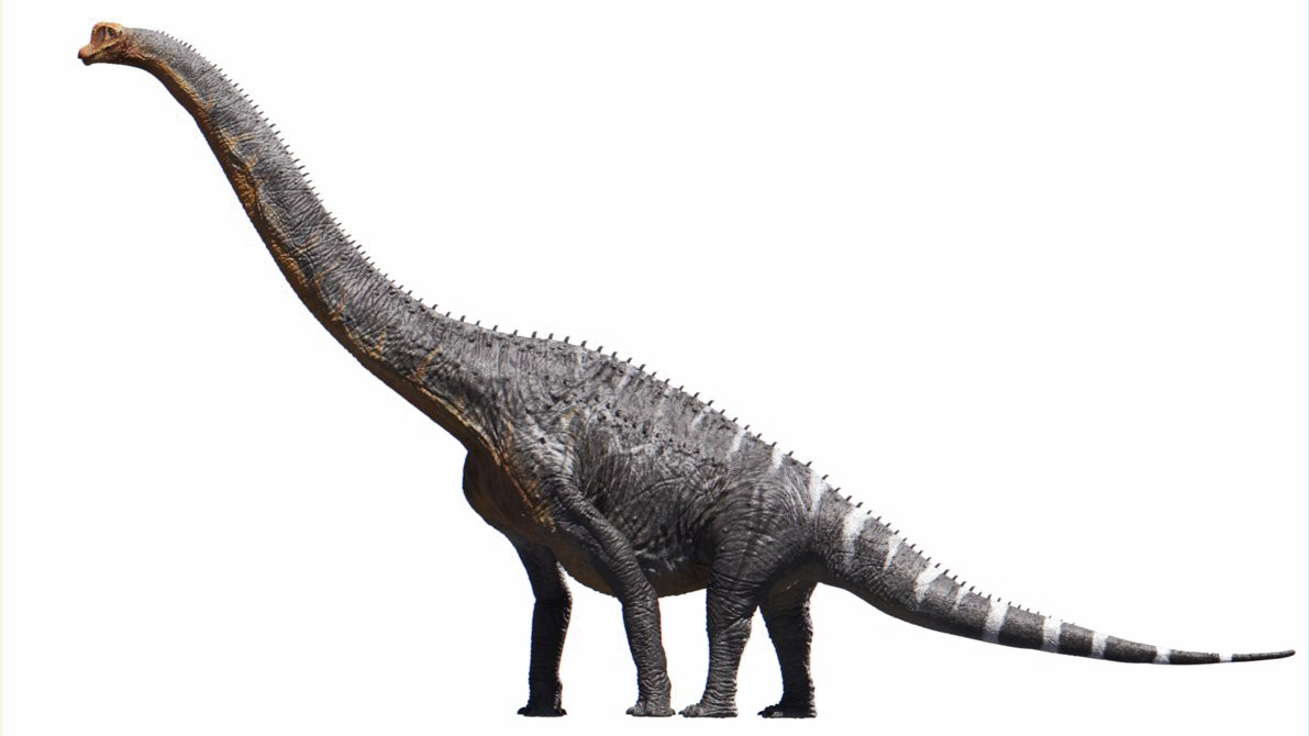 Download PNG image - Brachiosaurus Transparent Background 