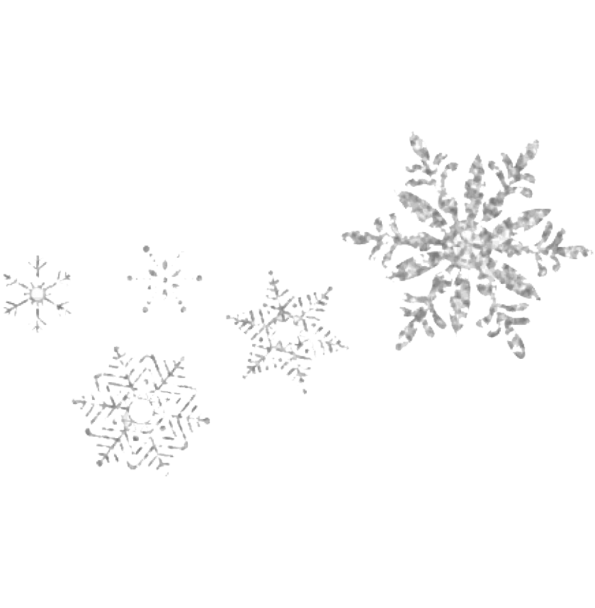 Download PNG image - Christmas Snowflake PNG Free Download 