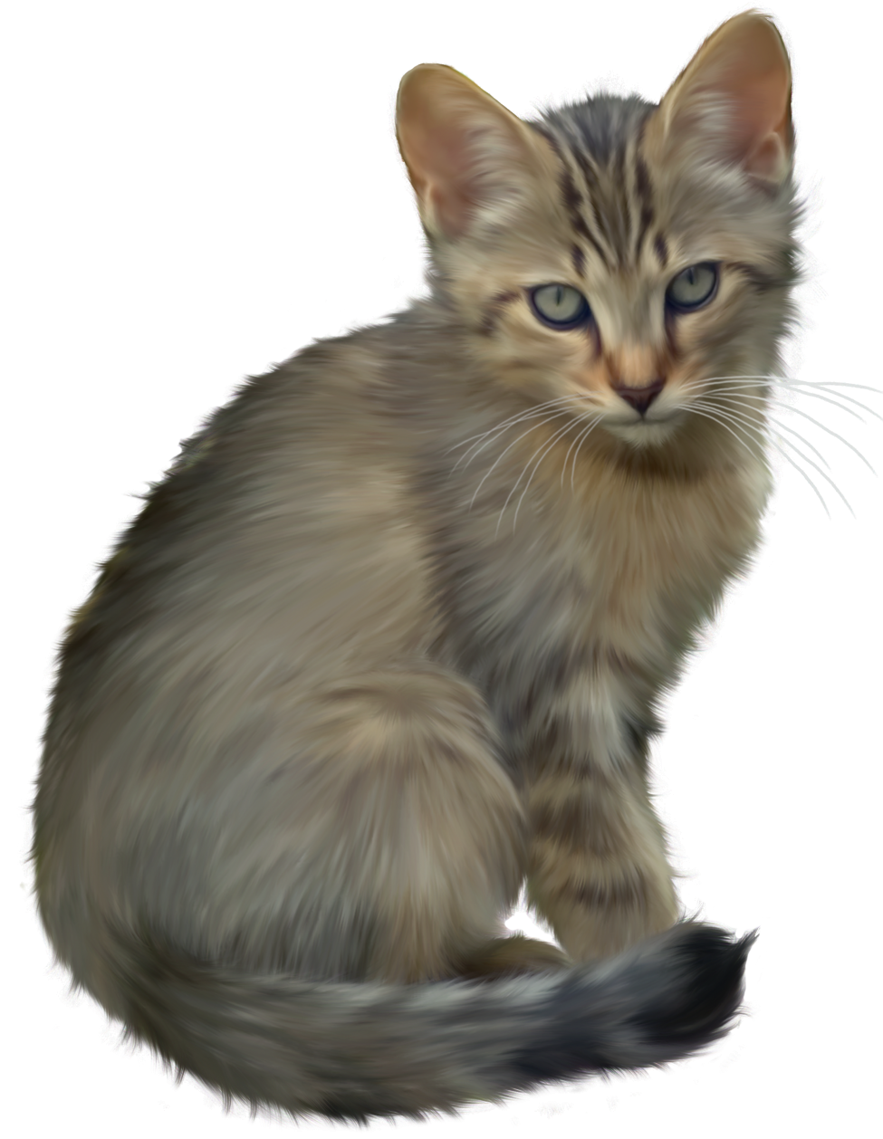Download PNG image - Cute Kitten PNG Image 