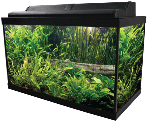 Download PNG image - Fish Tank Green Aquarium Transparent PNG 