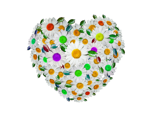 Download PNG image - Flower Heart PNG Transparent Image 
