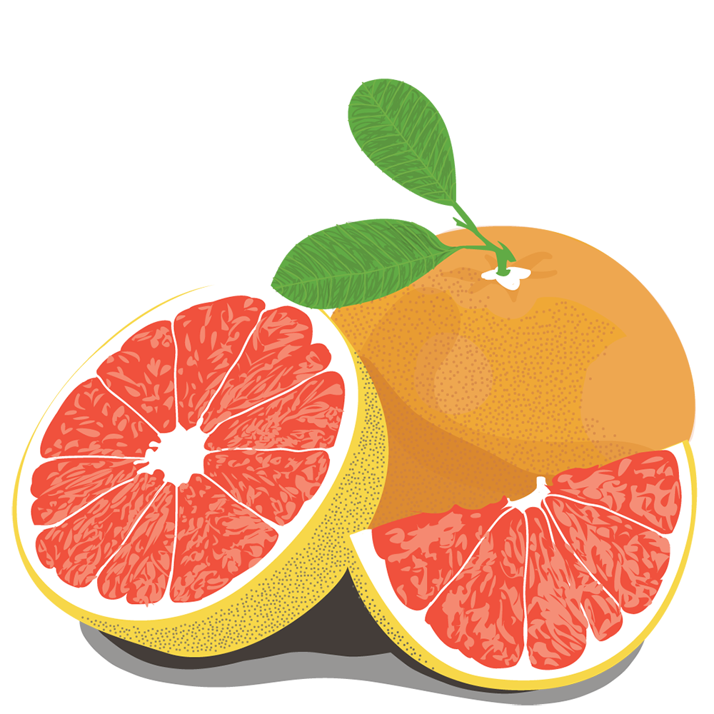Download PNG image - Half Grapefruit PNG Image 