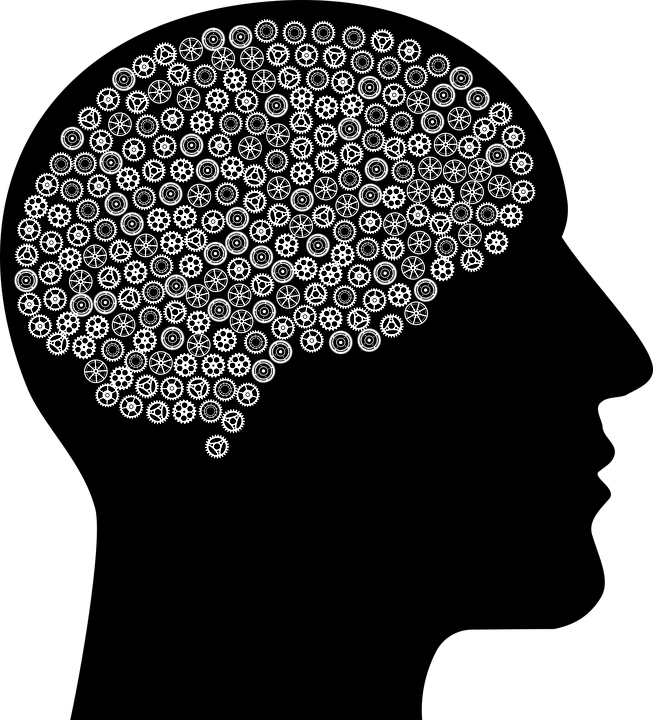 Download PNG image - Male Brain Gears Transparent PNG 