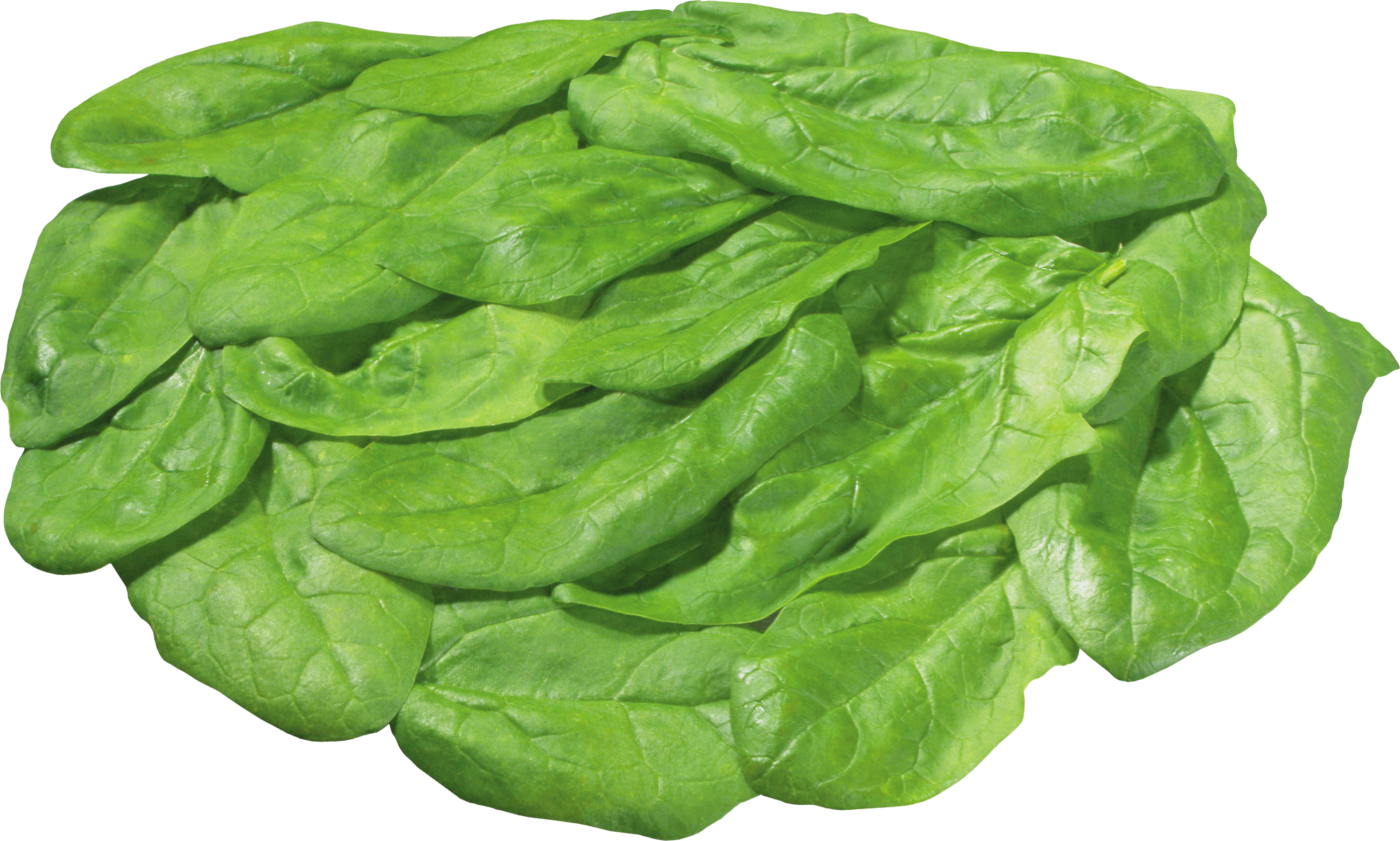 Download PNG image - Organic Green Spinach Transparent PNG 