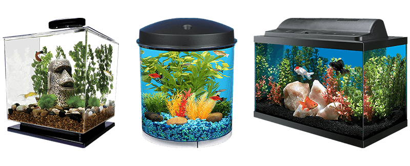 Download PNG image - Aquarium Fish Tank PNG Transparent Image 