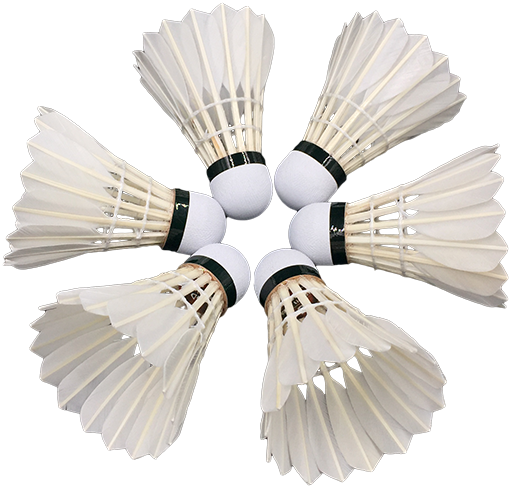 Download PNG image - Badminton Shuttlecock Tourney Transparent PNG 