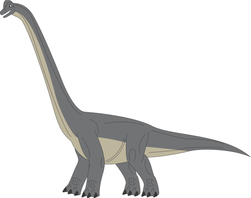 Download PNG image - Brachiosaurus PNG Transparent Picture 