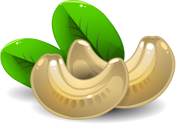 Download PNG image - Cashew Nut PNG Image 