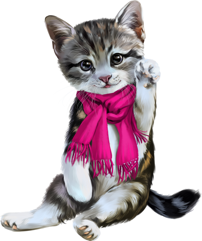 Download PNG image - Cat Christmas PNG Background Image 