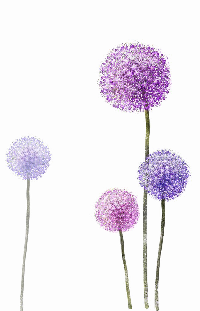 Download PNG image - Colored Dandelion PNG Photos 