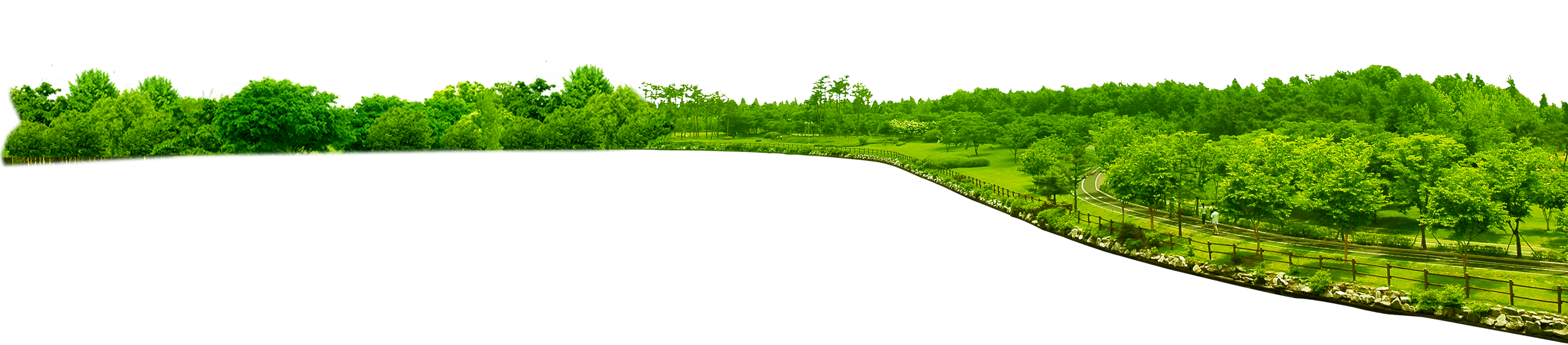 Download PNG image - Lawn Grass PNG Isolated Picture 