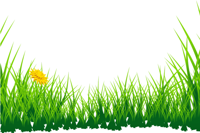 Download PNG image - Lawn PNG Clipart 