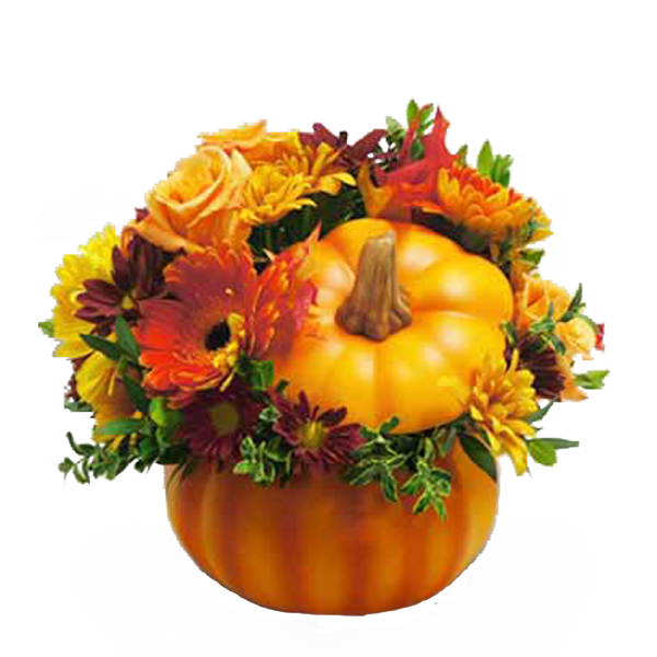 Download PNG image - Pumpkin Patch PNG Photo 