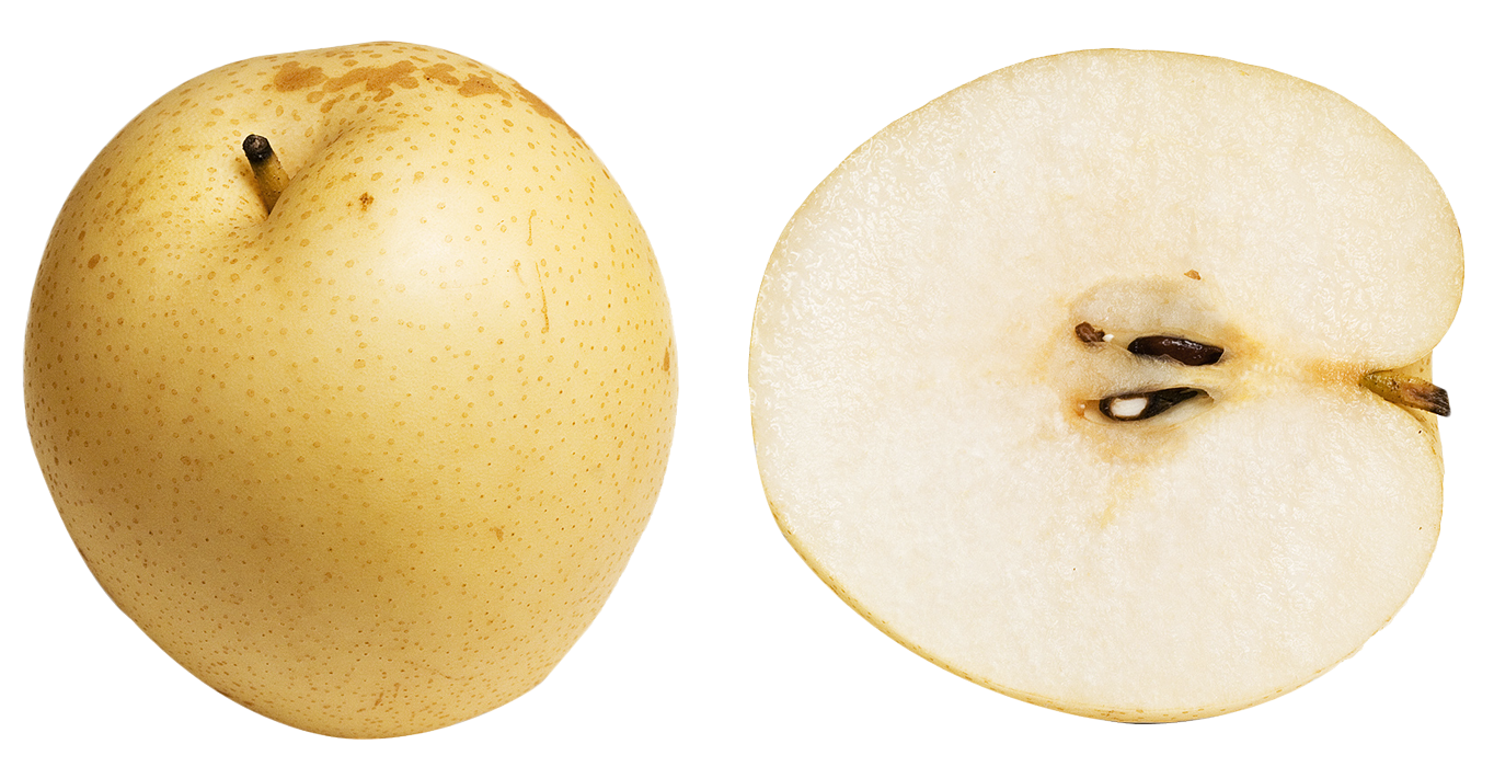 Download PNG image - Asian Pear PNG Free Download 