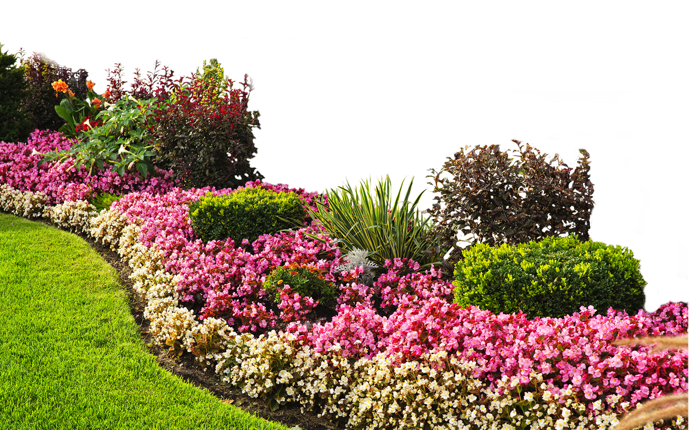 Download PNG image - Landscaping PNG Isolated File 