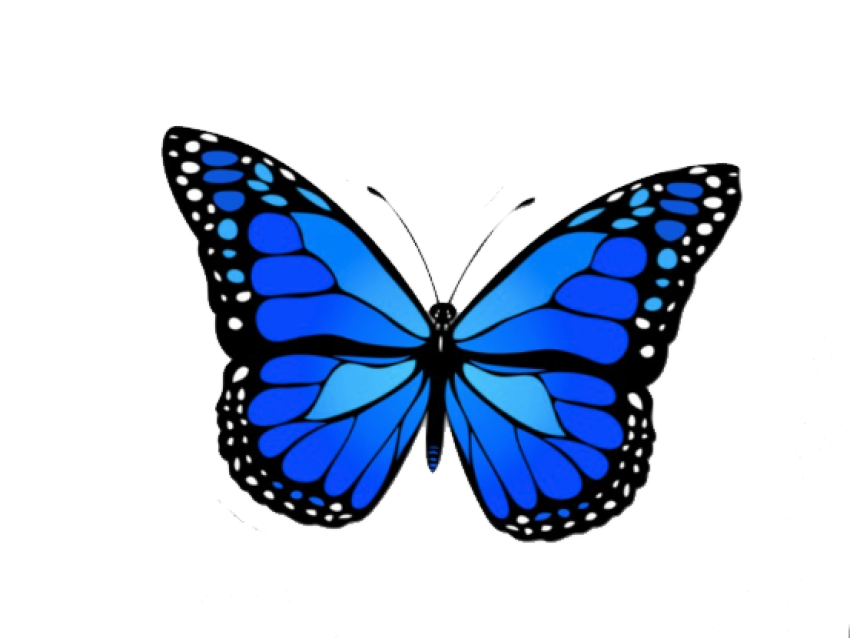 Download PNG image - Blue Butterfly PNG Image 
