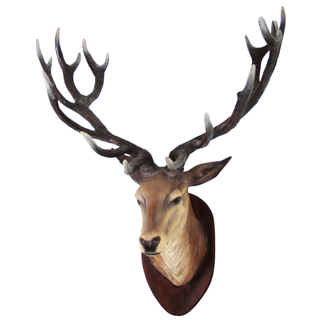 Download PNG image - Deer Head PNG Transparent Image 