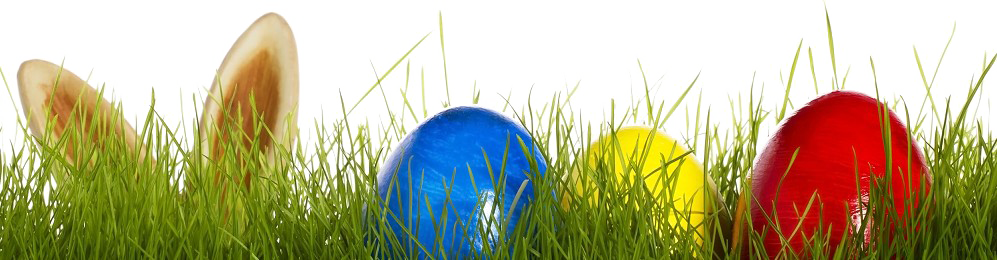 Download PNG image - Easter Egg Grass PNG HD 