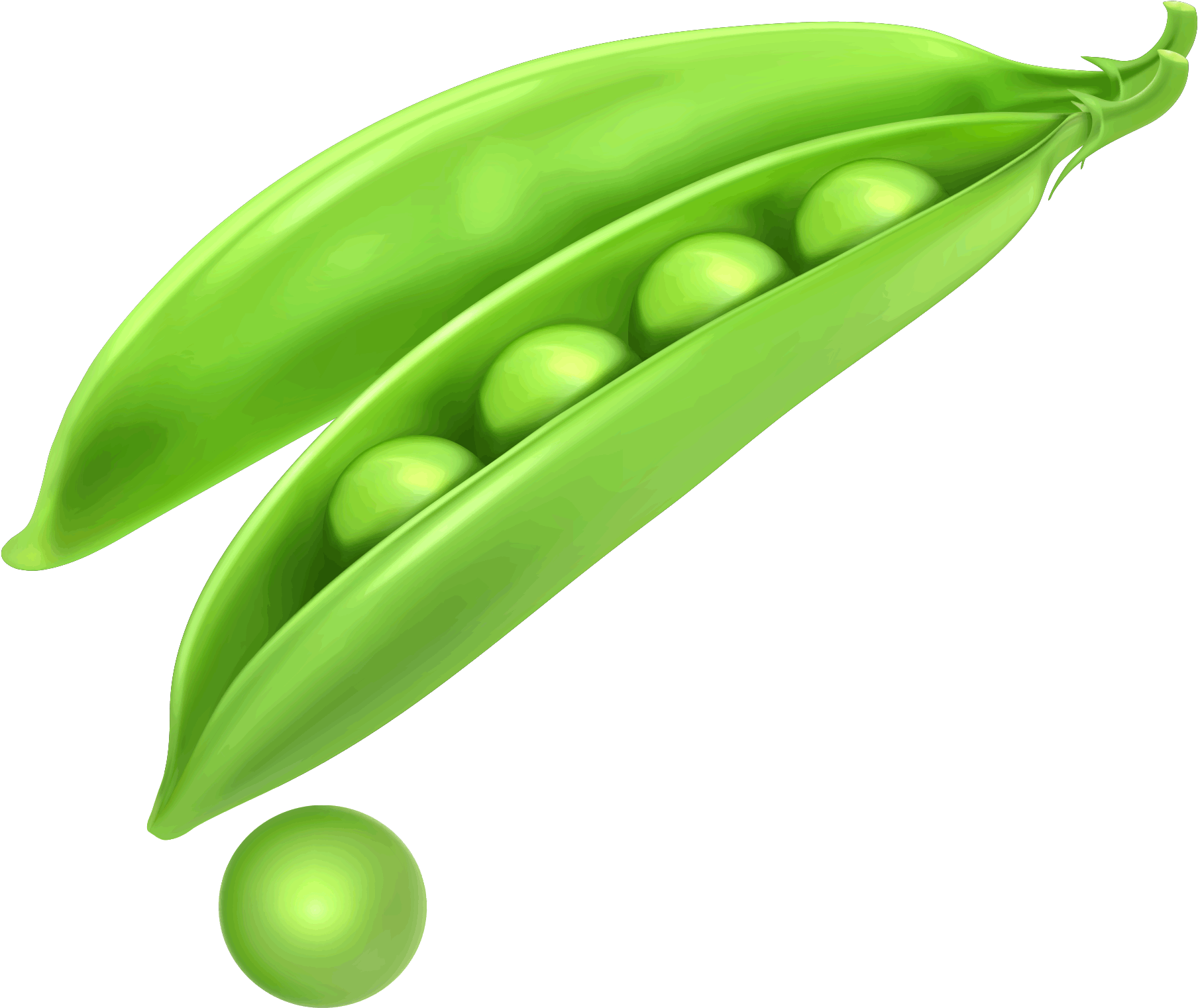 Download PNG image - Organic Green Pea PNG Clipart 