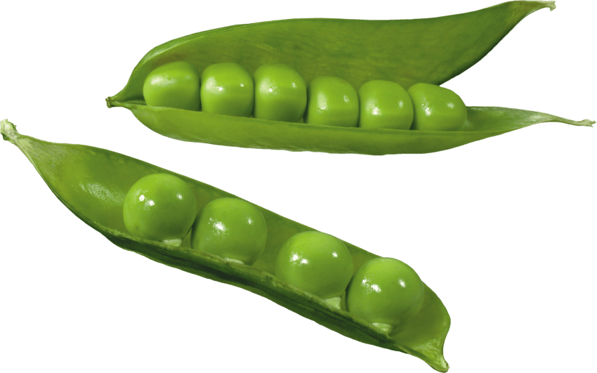 Download PNG image - Organic Green Pea PNG Image 