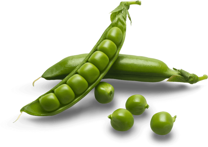Download PNG image - Organic Green Pea PNG Transparent Image 