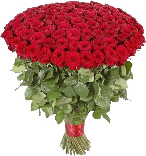 Download PNG image - Red Rose Bouquet Transparent PNG 