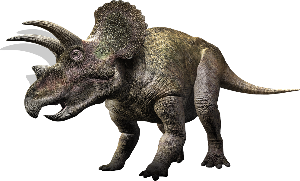 Download PNG image - Triceratop PNG Transparent 