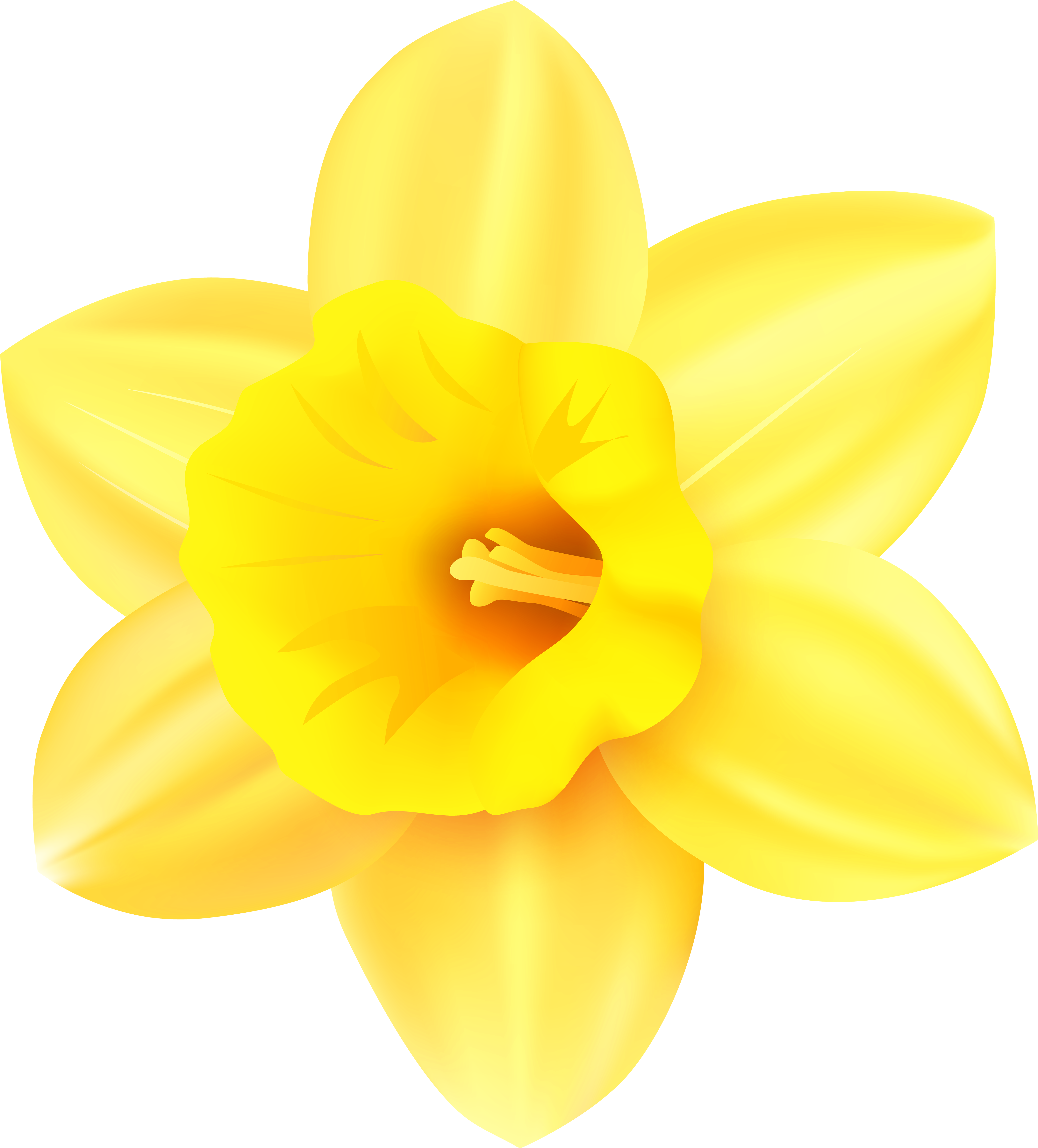 Download PNG image - Yellow Daffodil PNG Photos 