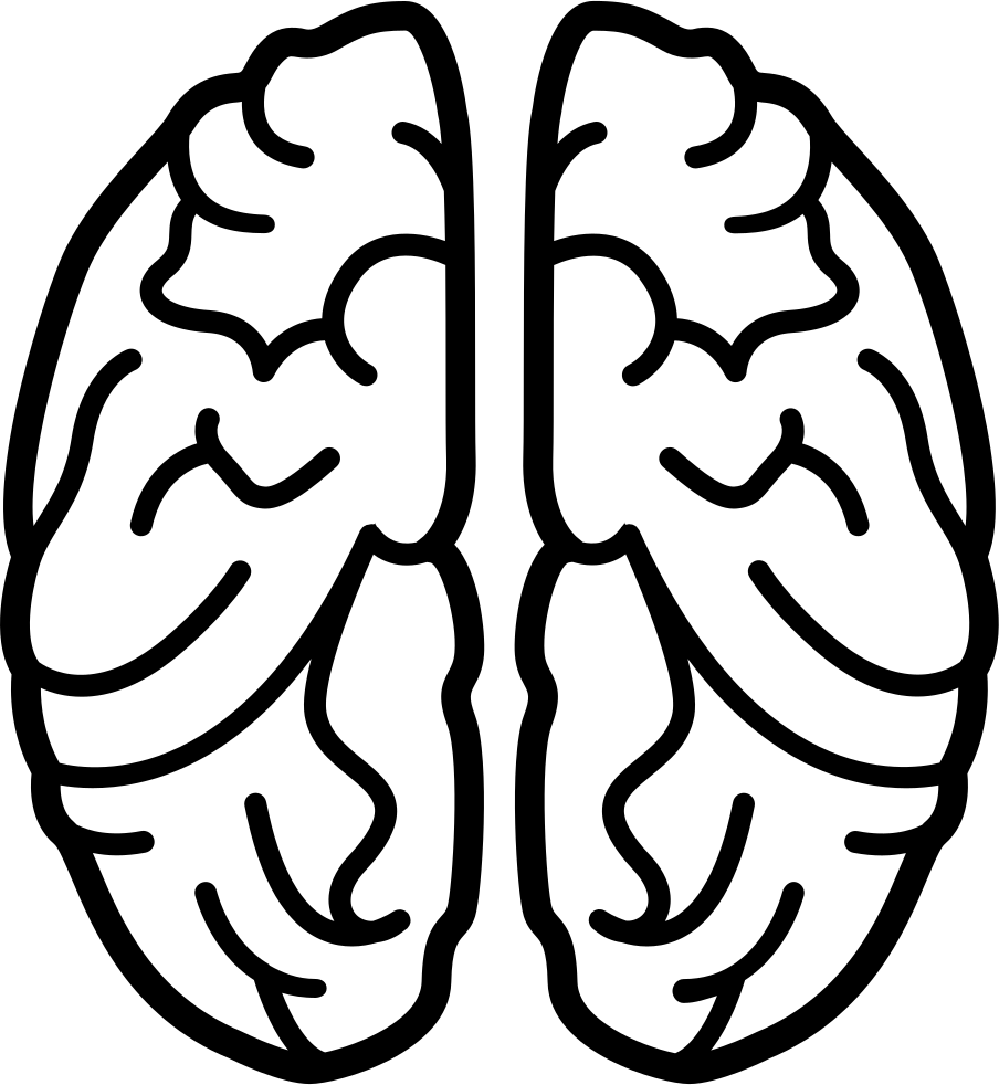 Download PNG image - Brain Silhouette PNG HD 